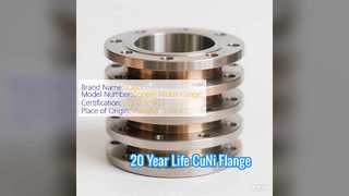 熱間鍛造CuNi 70 30フランジ20年の耐用年数