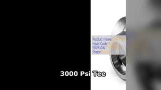 3000 Psi 減圧ティー高圧工業用