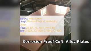 CuNi 90 10 および 70 30 合金プレートの耐食性