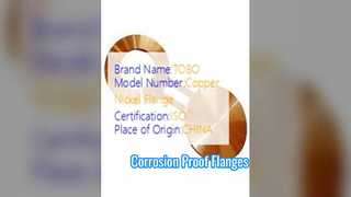 眼鏡フランジ 銅ニッケル 90/10 鍛造