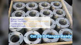 Cui 70 0 SW フランジ鍛造 ASME B6 Cl 0 対応