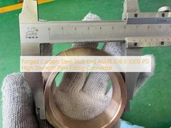高強度鍛造炭素鋼スタブエンド 3000 PSI フィッティング