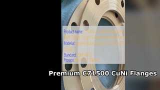 C71500 CuNi 70 30 溶接ネック フランジ プレミアム鍛造品質