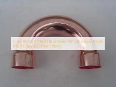 CuNi 90 10 C70600 90度LRエルボ管継手